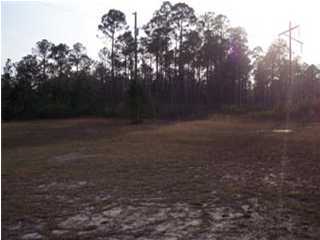 147 Monks Lane Santa Rosa Beach, FL 32459 - Photo 1 of 1 Gallery Image 1