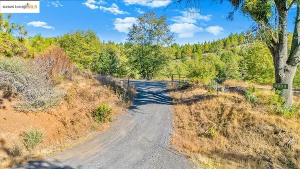 a backyard of a house with large trees