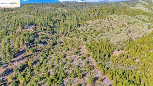 a view of a room with a dry yard