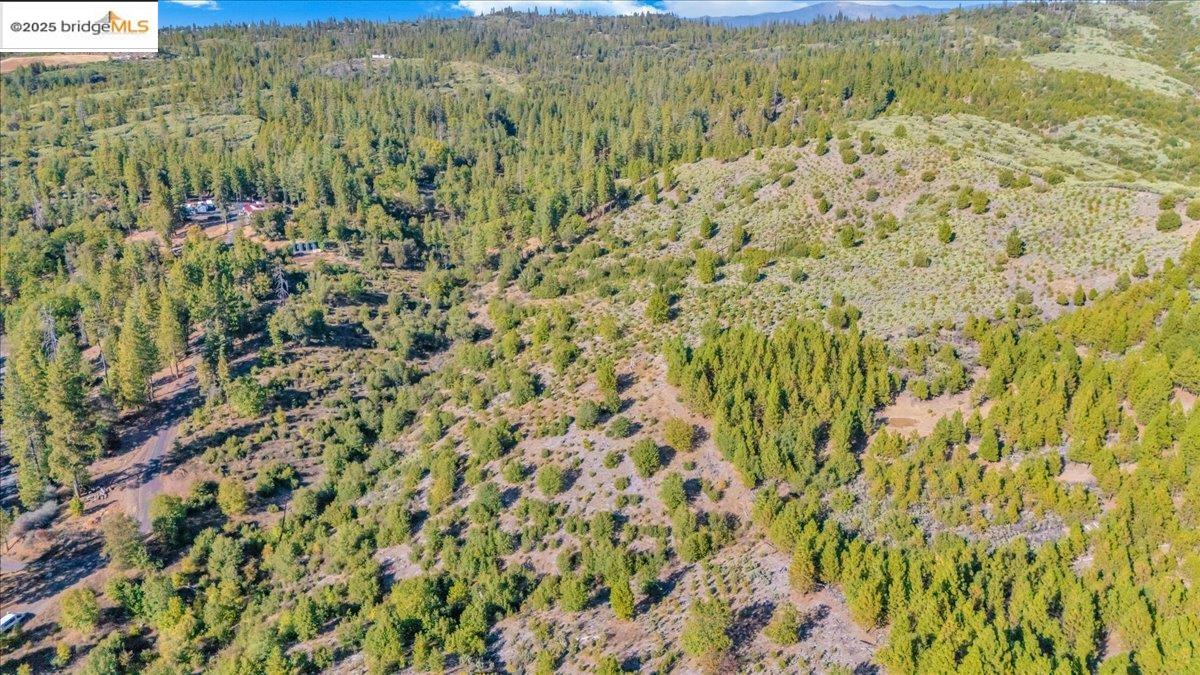 0 Jackass Creek Road Groveland, CA 95321 - Photo 3 of 10 a view of a room with a dry yard