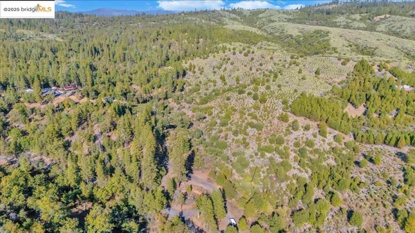 a view of a dry yard with wooden fence
