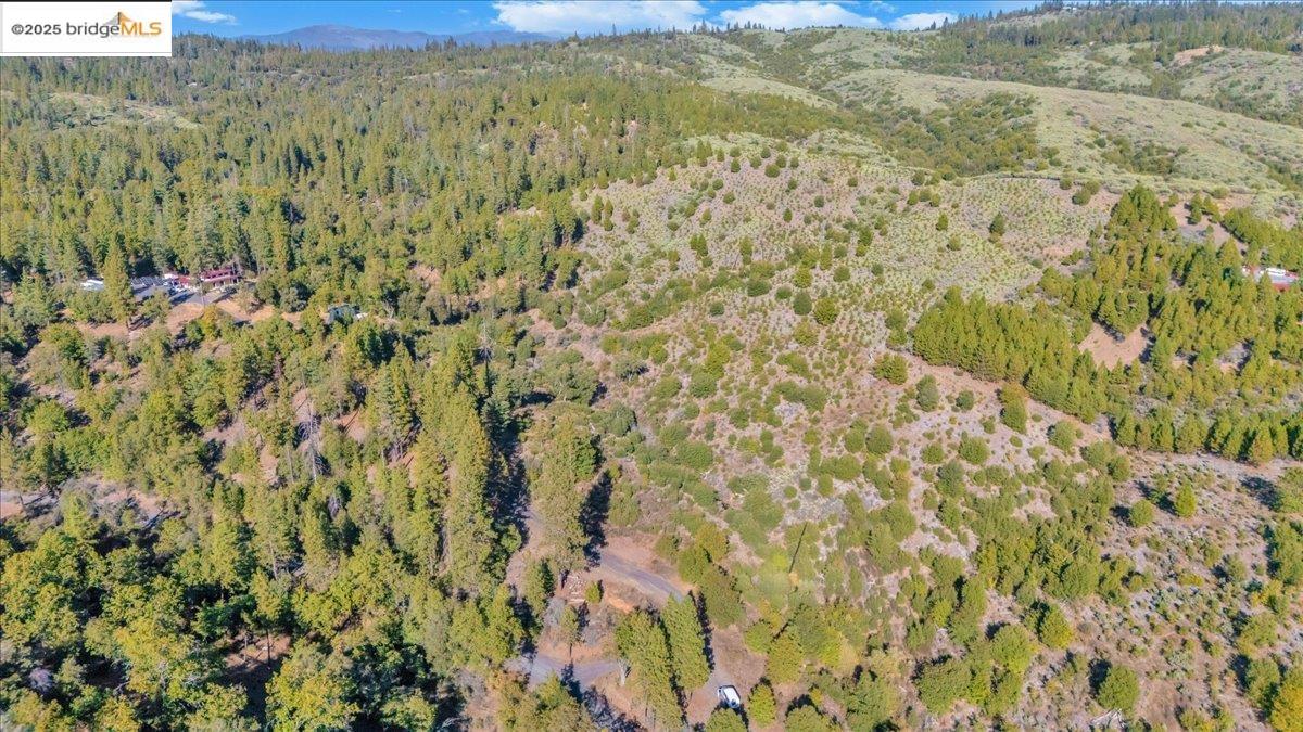 0 Jackass Creek Road Groveland, CA 95321 - Photo 4 of 10 a view of a dry yard with wooden fence