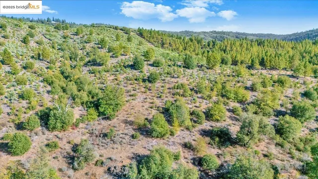 a view of a green field