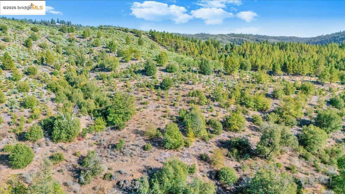 0 Jackass Creek Road Groveland, CA 95321 - Photo 8 of 10 a view of a green field