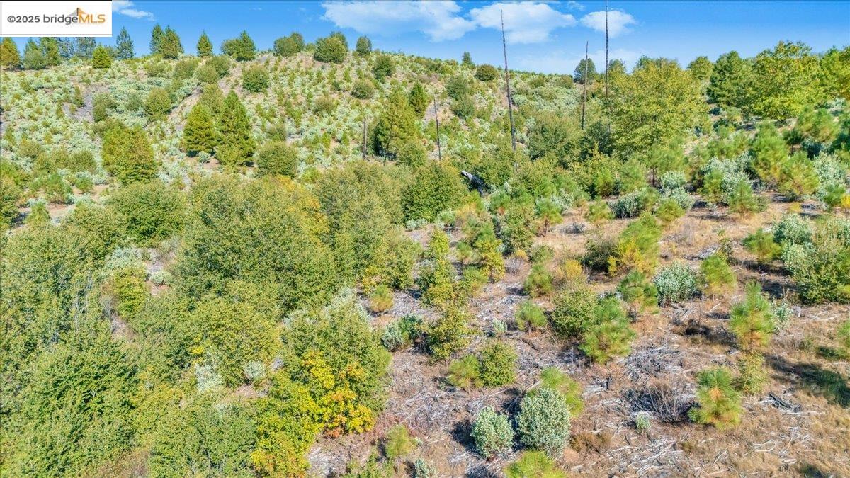 0 Jackass Creek Road Groveland, CA 95321 - Photo 9 of 10 a view of a garden with a building