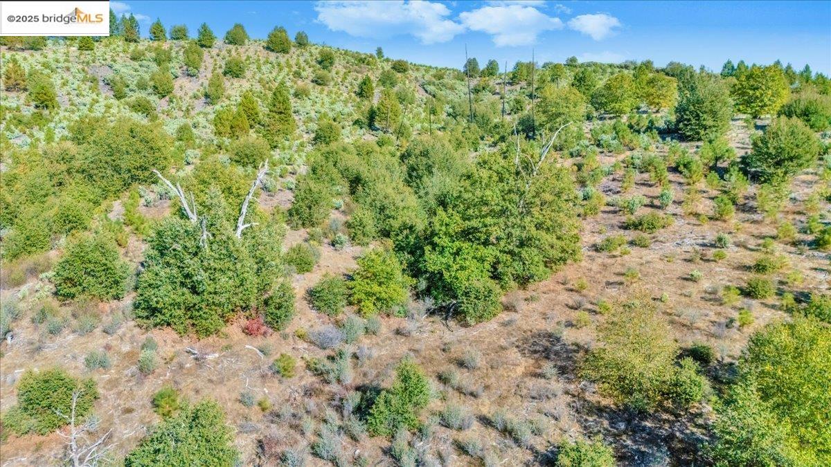 0 Jackass Creek Road Groveland, CA 95321 - Photo 10 of 10 a view of a garden with a building