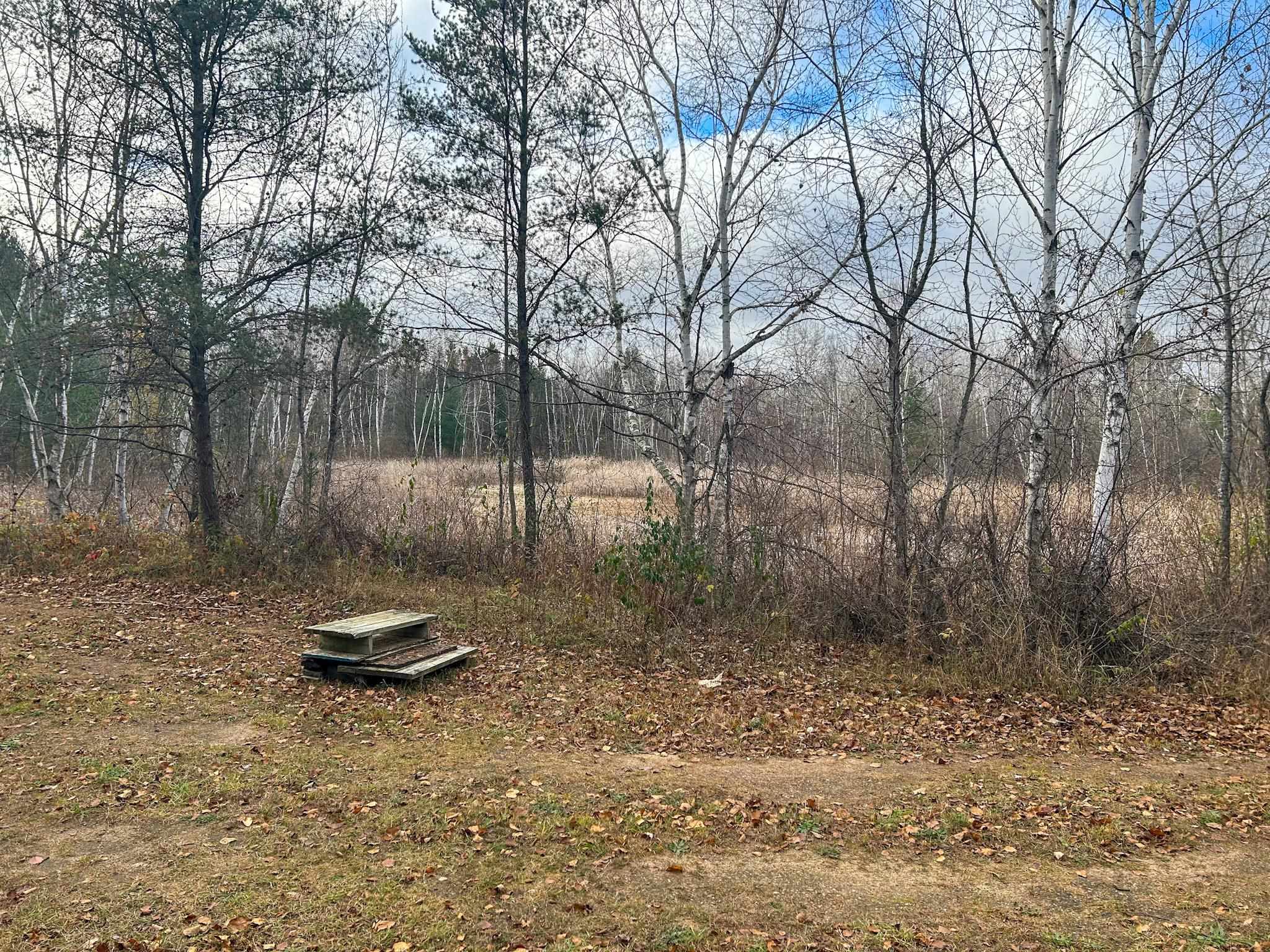 40-acres Hilts Road Gladwin, MI 48624 - Photo 14 of 37