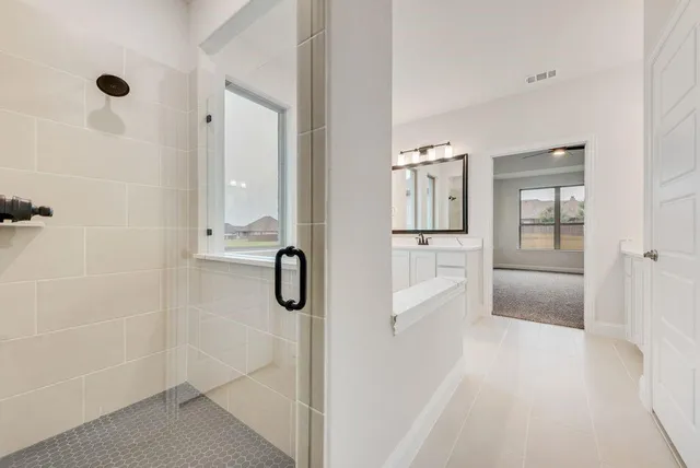 a bathroom with a granite countertop sink a mirror and shower