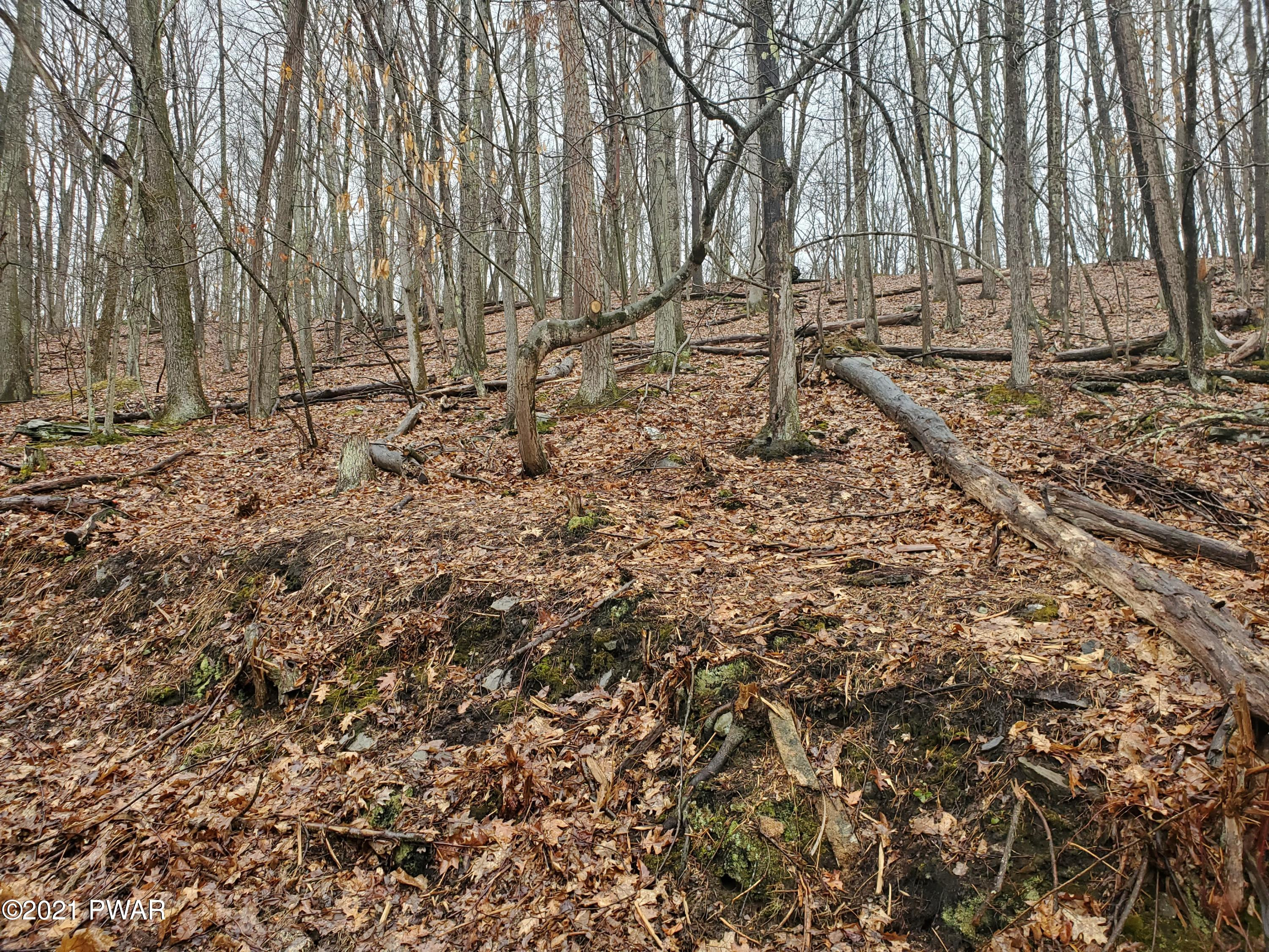 386 Masthope Plank Road Lackawaxen, PA 18435 - Photo 3 of 5