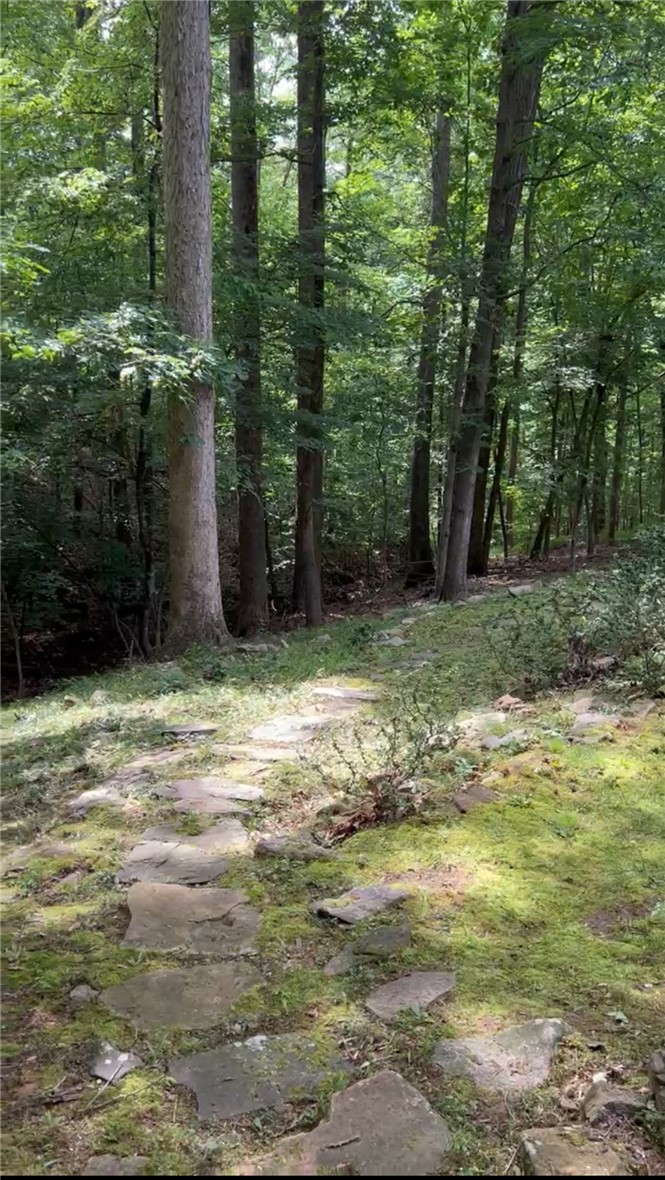 105 Eagle Court Westminster, SC 29693 - Photo 42 of 42