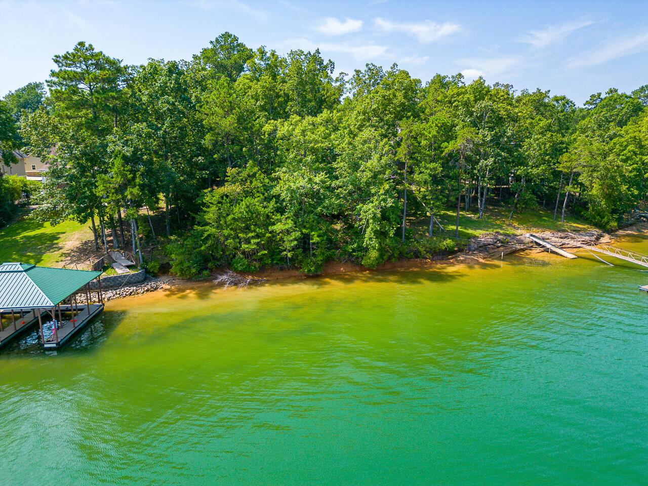 48 Stoney Point Road North Double Springs, AL 35553 - Photo 8 of 24 Gallery Image 8