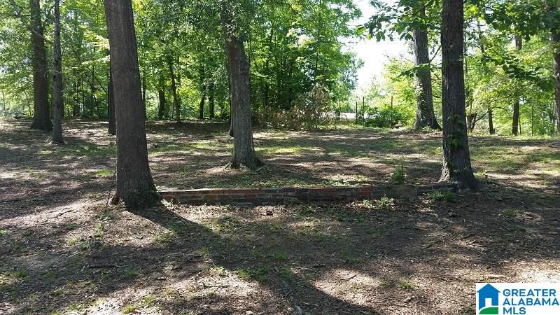 536 Adams Street Kimberly, AL 35091 - Photo 19 of 21