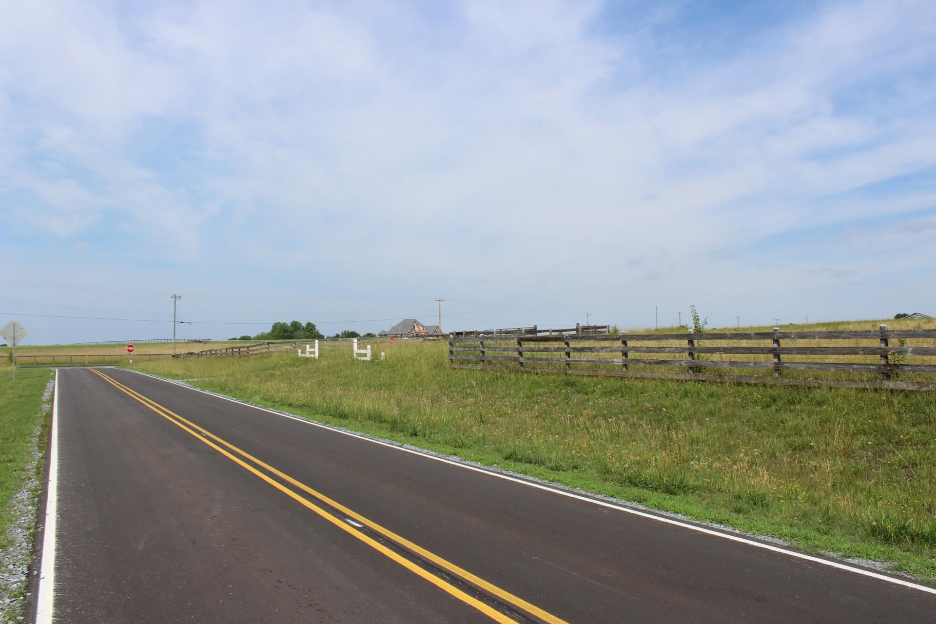 Lot 3 Ted Smith Road Rutherfordton, NC 28139 - Photo 12 of 19