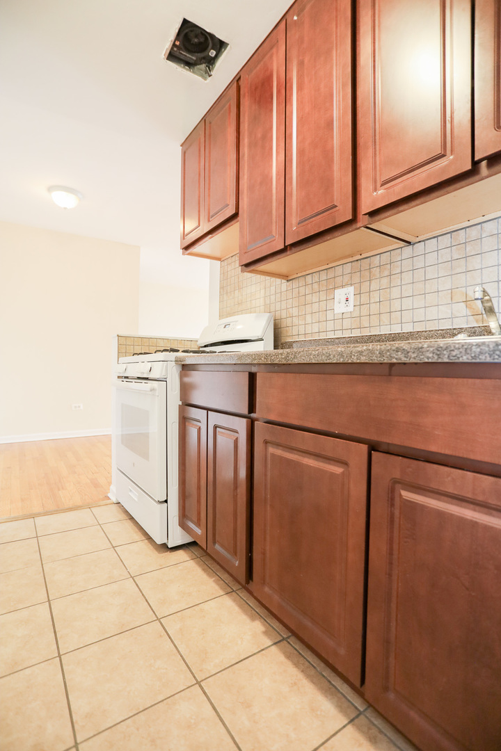 1055 West Catalpa Avenue, Unit 504 Chicago, IL 60640 - Photo 3 of 14