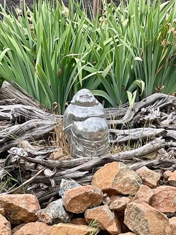 a view of a backyard of white house