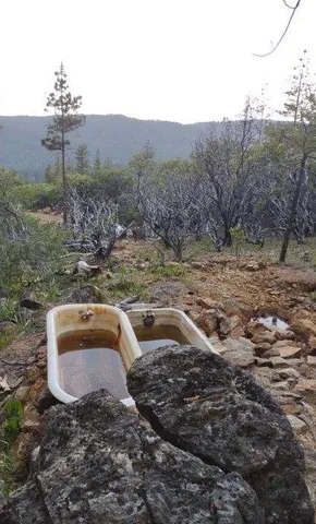 $199,000 | 16275 Wild Rose Way, Brownsville, CA 95919