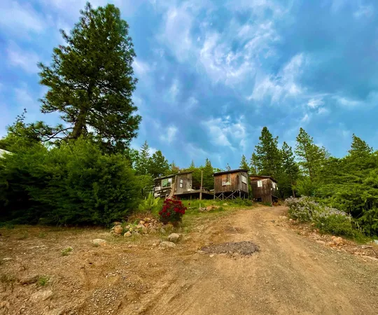 a view of a yard with plants and a bench