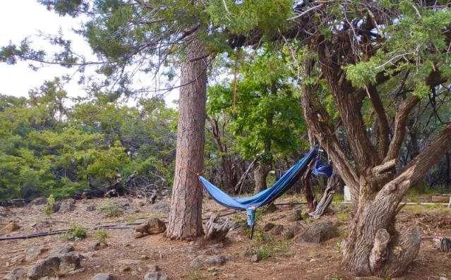 a view of a bench in a yard