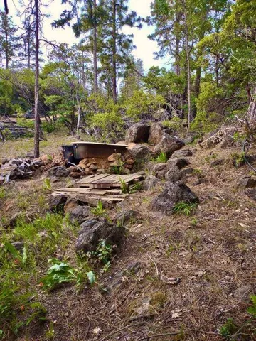 a backyard of a house with lots of green space