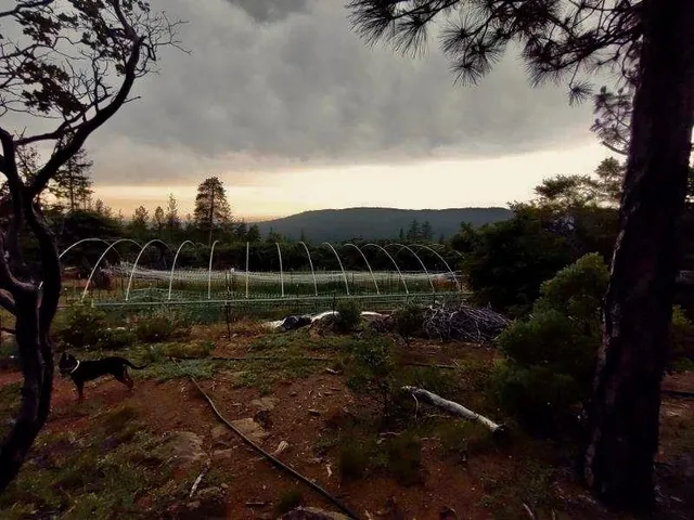 a view of a backyard