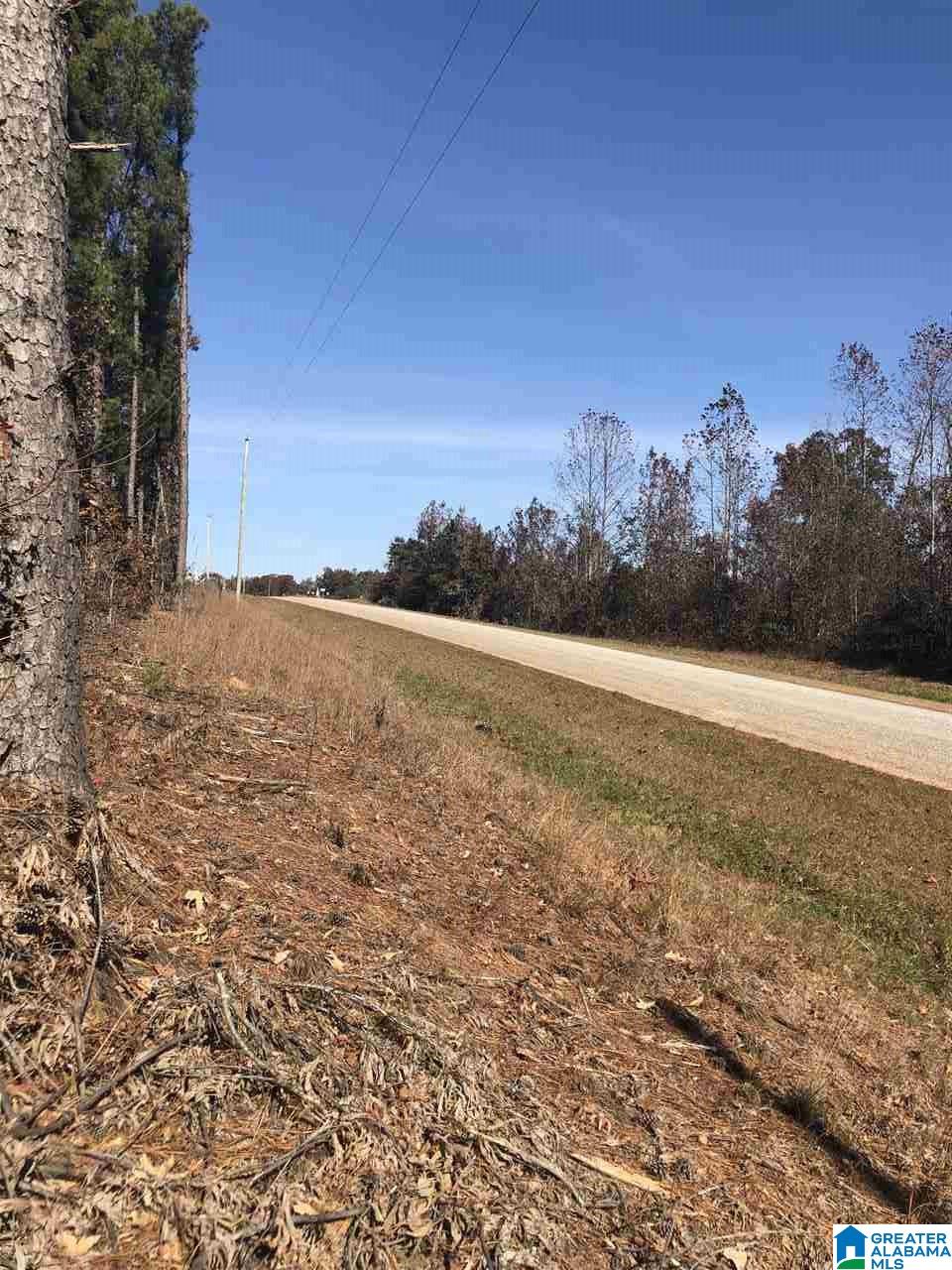 39 County Road, Unit 4J Woodland, AL 36280 - Photo 8 of 8