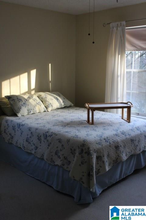 1360 Little Cloud Circle Alabaster, AL 35007 - Photo 33 of 42