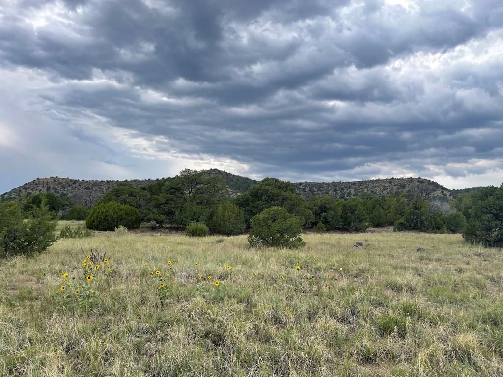 Tbd(#93 Rancho Verde Road Trinidad, CO 81082 - Photo 16 of 20 Gallery Image 16