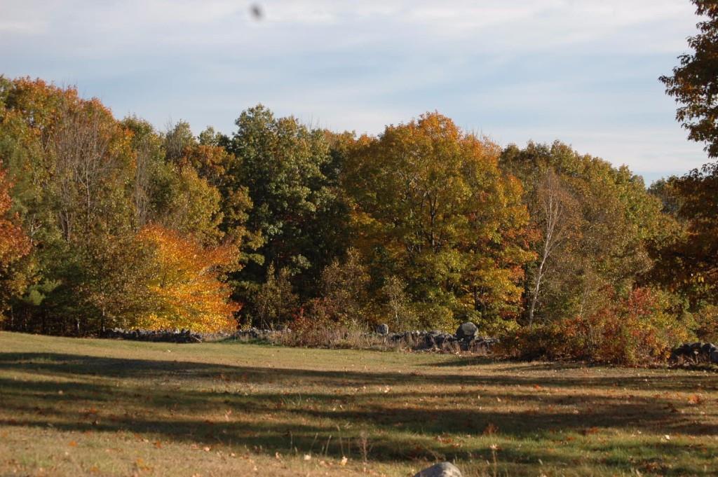 10 McDermott Road Raymond, ME 04071 - Photo 27 of 32 Stone wall lined fields for animals...