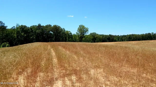 $67,900 | 206 Hugh White State Pk Road, Grenada, MS 38901