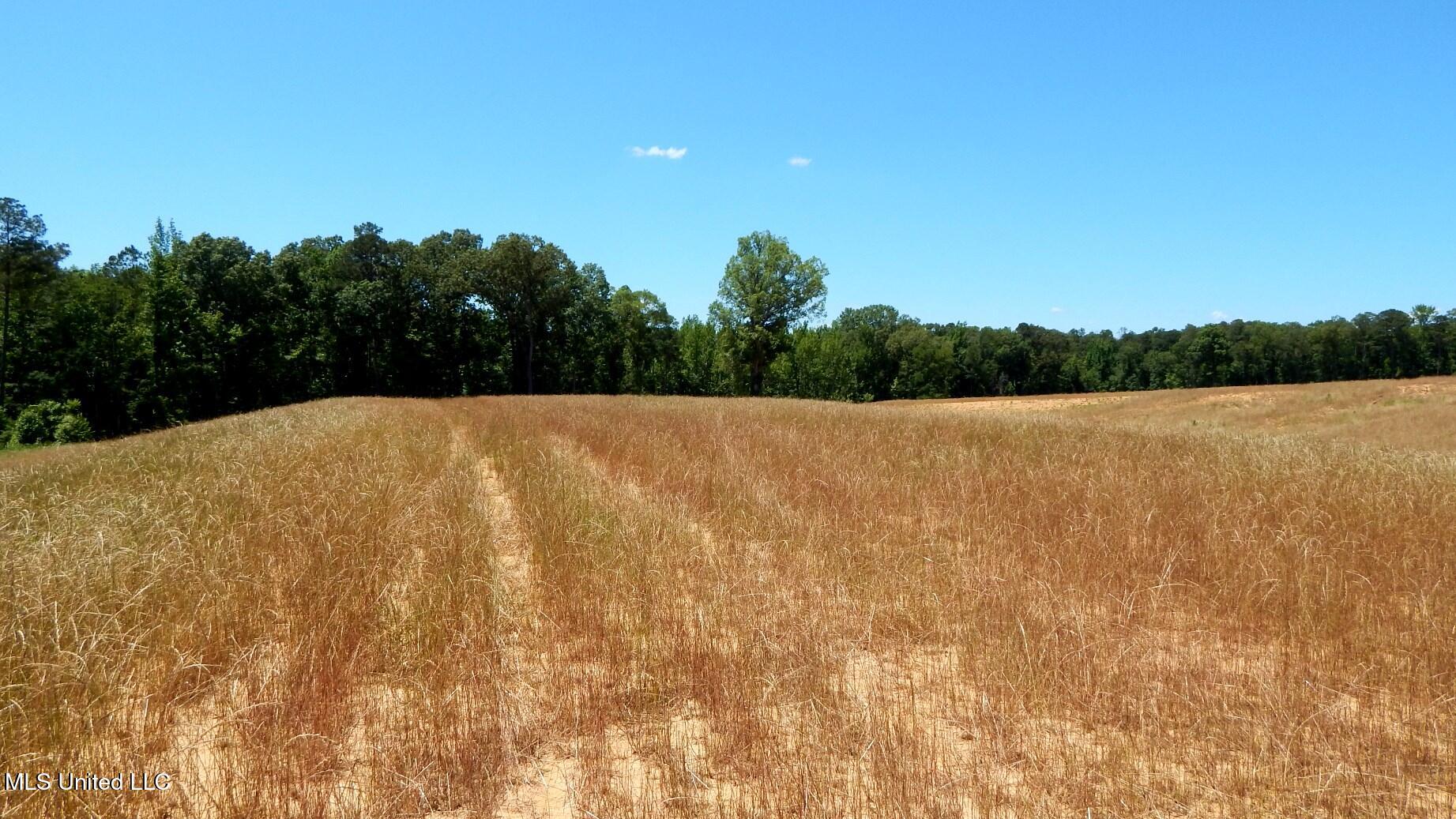 206 Hugh White State Pk Road Grenada, MS 38901 - Photo 2 of 14 DSCN6911
