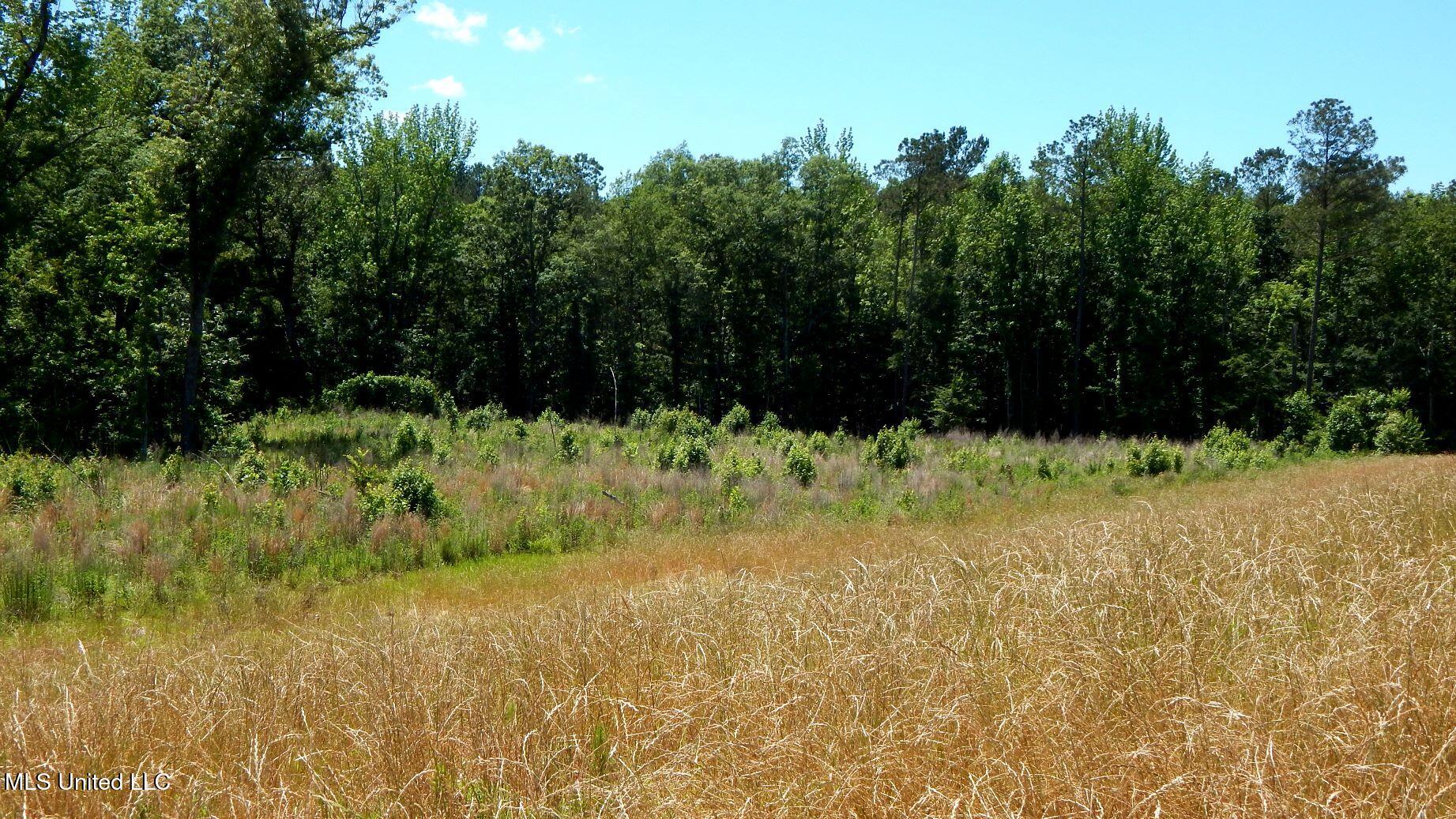 206 Hugh White State Pk Road Grenada, MS 38901 - Photo 4 of 14 DSCN6912