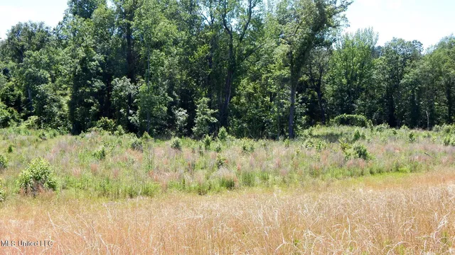 $67,900 | 206 Hugh White State Pk Road, Grenada, MS 38901