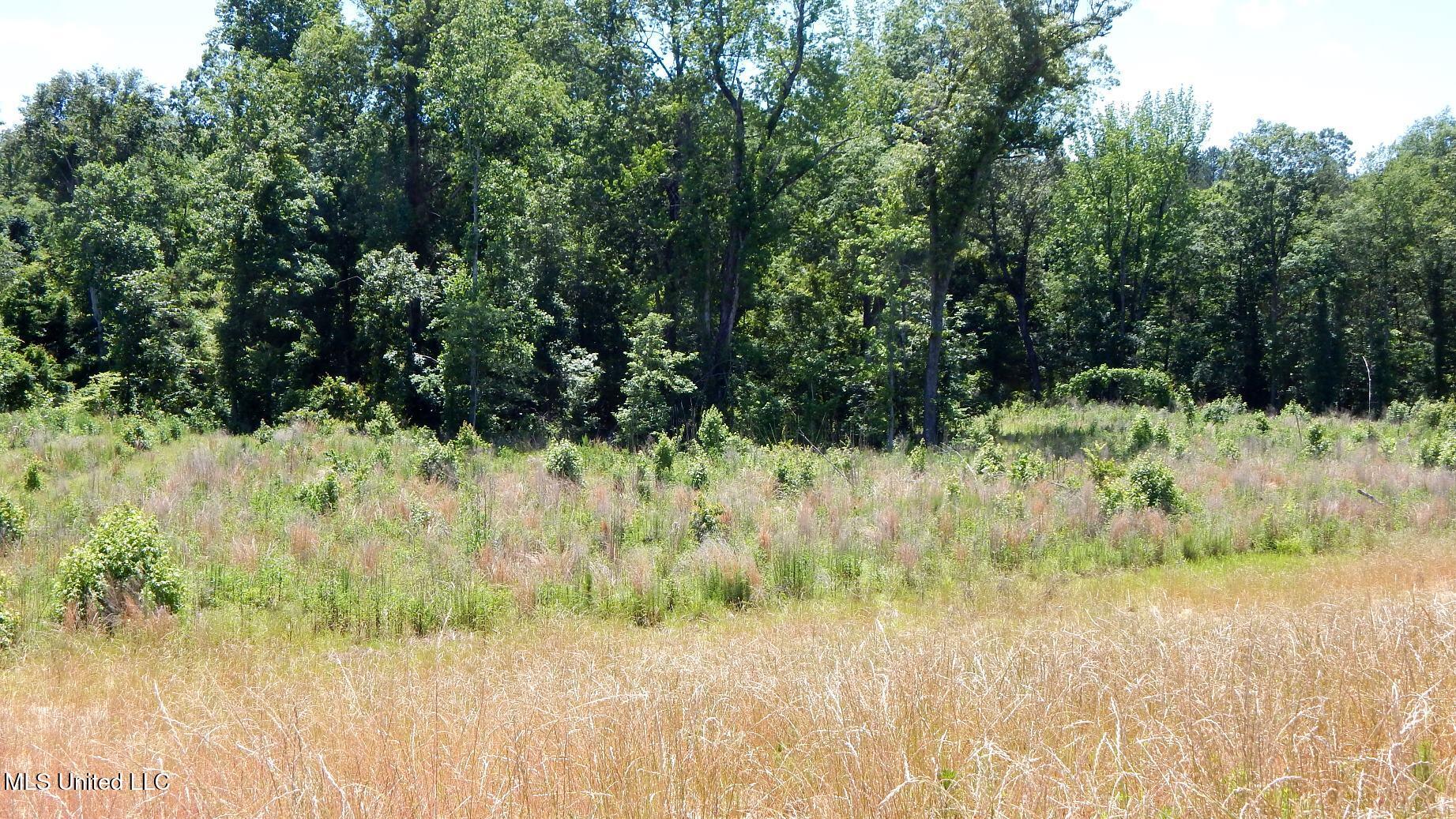 206 Hugh White State Pk Road Grenada, MS 38901 - Photo 5 of 14 DSCN6913
