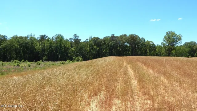 $67,900 | 206 Hugh White State Pk Road, Grenada, MS 38901