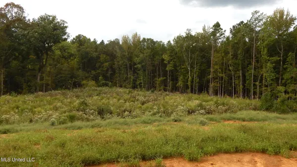 $67,900 | 206 Hugh White State Pk Road, Grenada, MS 38901