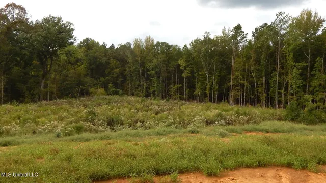 $67,900 | 206 Hugh White State Pk Road, Grenada, MS 38901