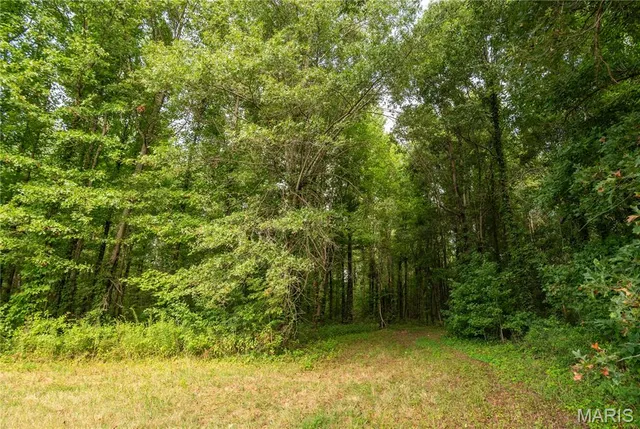 $379,900 | 37 Plantation Drive, Sikeston, MO 63801