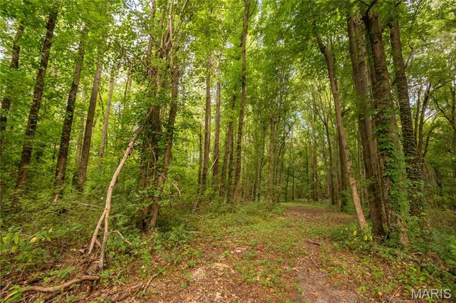 $379,900 | 37 Plantation Drive, Sikeston, MO 63801