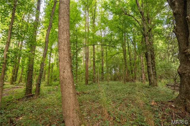 $379,900 | 37 Plantation Drive, Sikeston, MO 63801