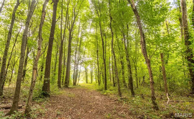 $379,900 | 37 Plantation Drive, Sikeston, MO 63801