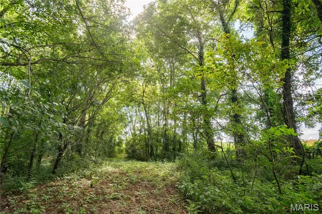 $379,900 | 37 Plantation Drive, Sikeston, MO 63801