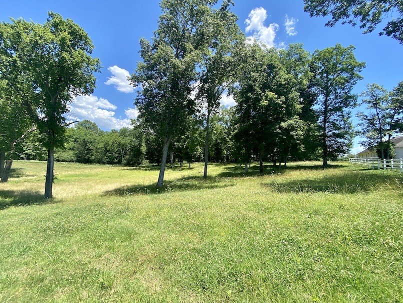 3981 Horn Springs Road Lebanon, TN 37087 - Photo 7 of 50