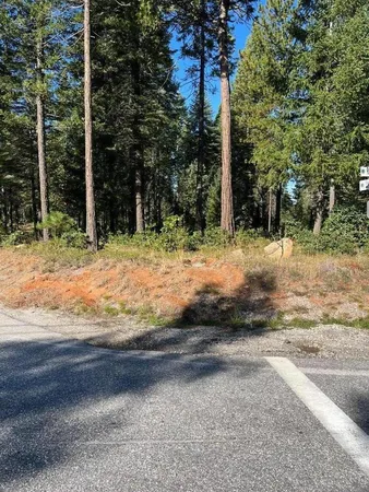 a view of a yard with trees