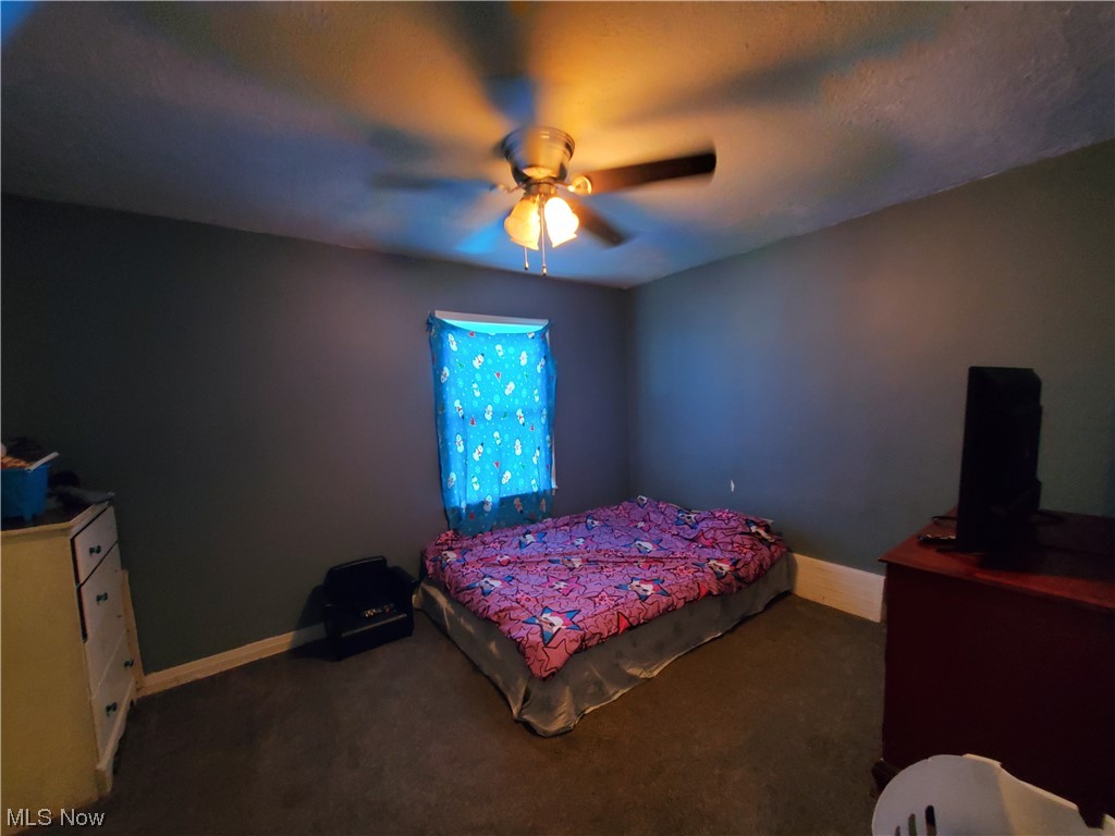 6626 Lake State Road Ashtabula, OH 44004 - Photo 10 of 35 Gallery Image 10