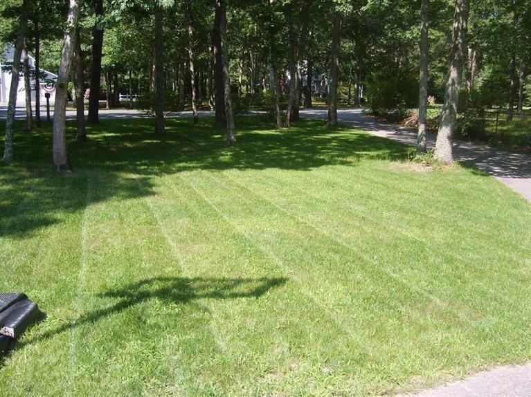 48 John Ewer Road Sandwich, MA 02563 - Photo 3 of 9