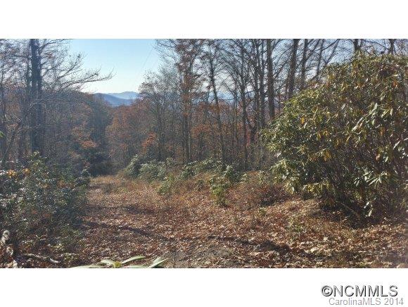 24 Catawba Ridge, Unit 24 Maggie Valley, NC 28751 - Photo 5 of 10 Gallery Image 5