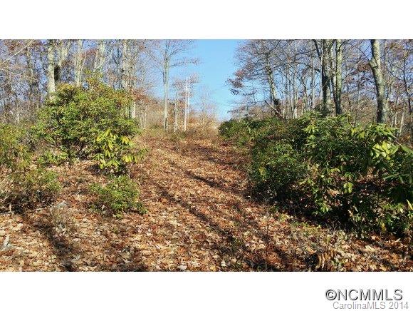 24 Catawba Ridge, Unit 24 Maggie Valley, NC 28751 - Photo 7 of 10 Gallery Image 7