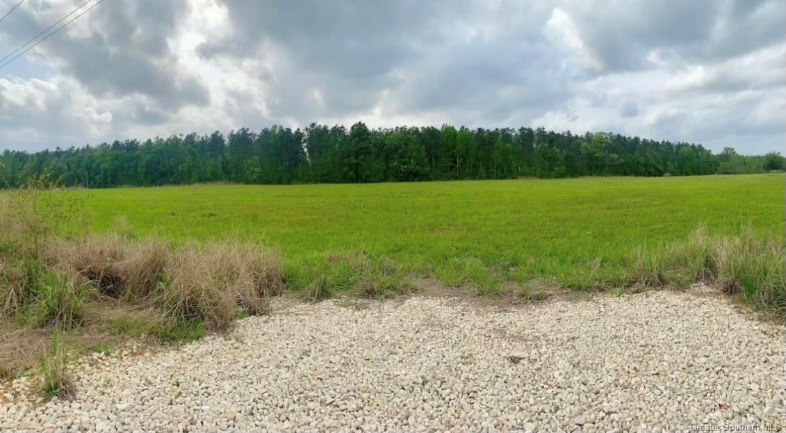 10870 Hwy 113 Road Ragley, LA 70657 - Photo 4 of 6