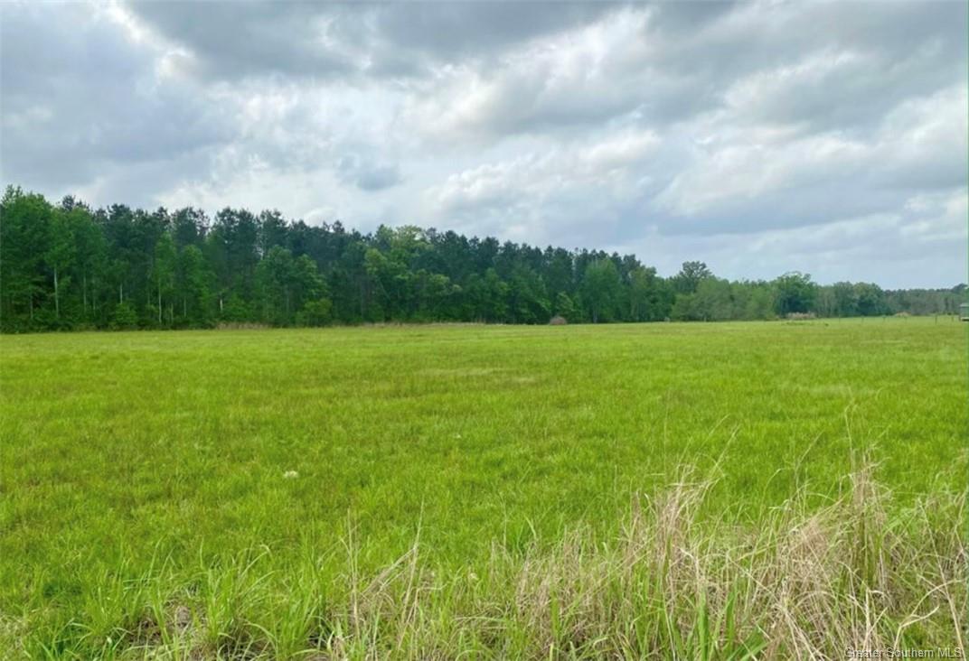10870 Hwy 113 Road Ragley, LA 70657 - Photo 6 of 6
