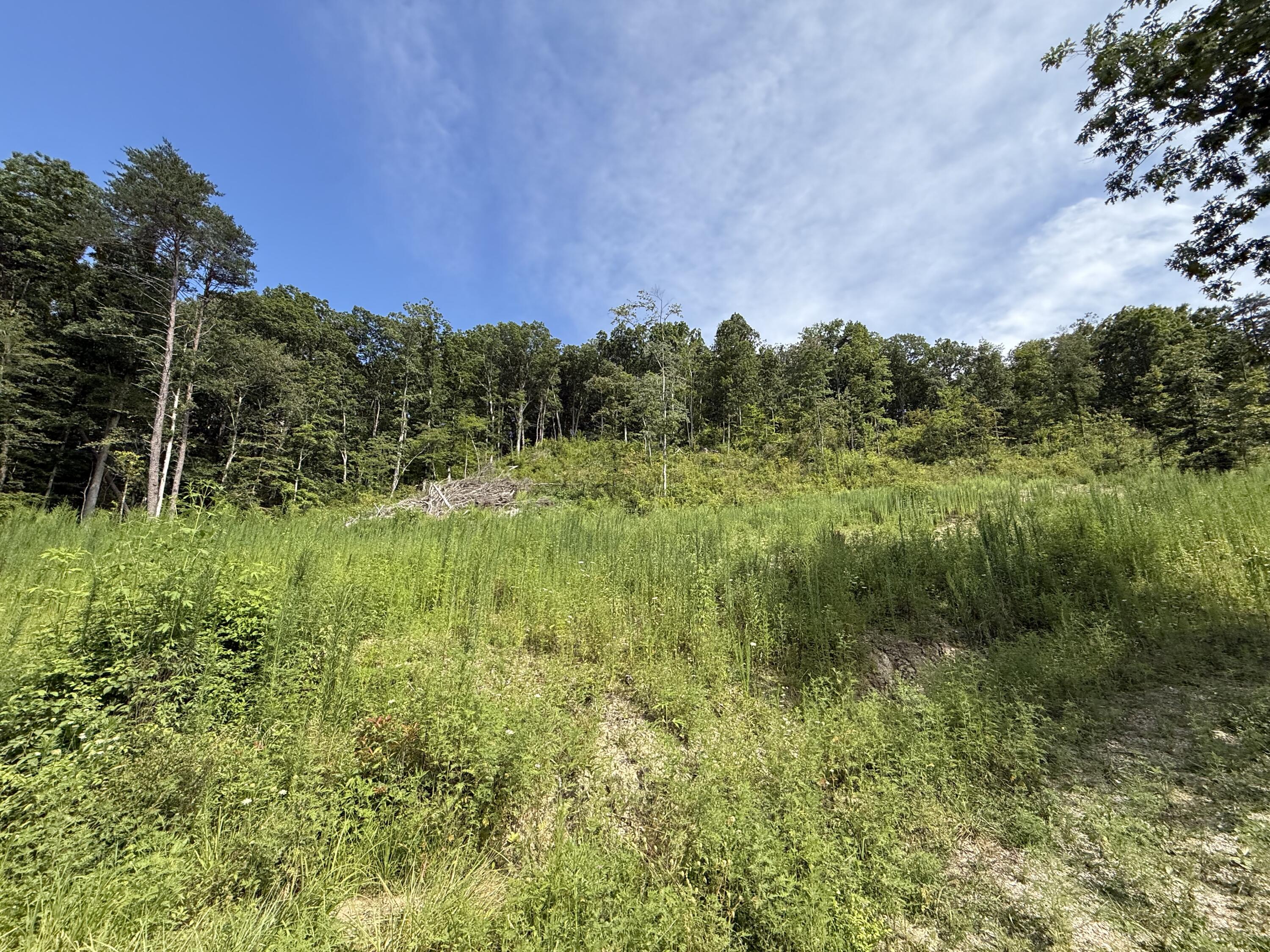3031 Sweet Water Road Berea, KY 40403 - Photo 2 of 8 IMG_3410